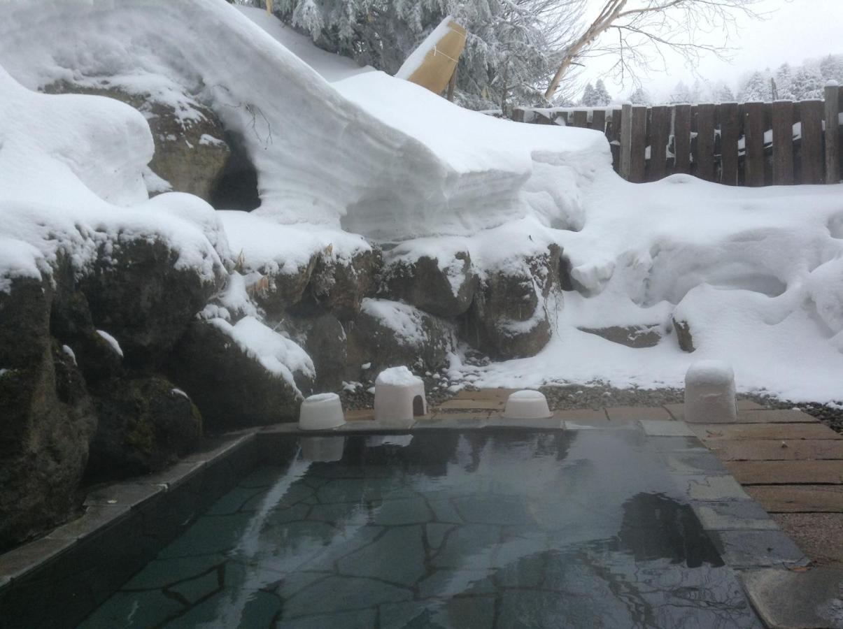 Shiga Riverside Hotel Yamanouchi  Zewnętrze zdjęcie